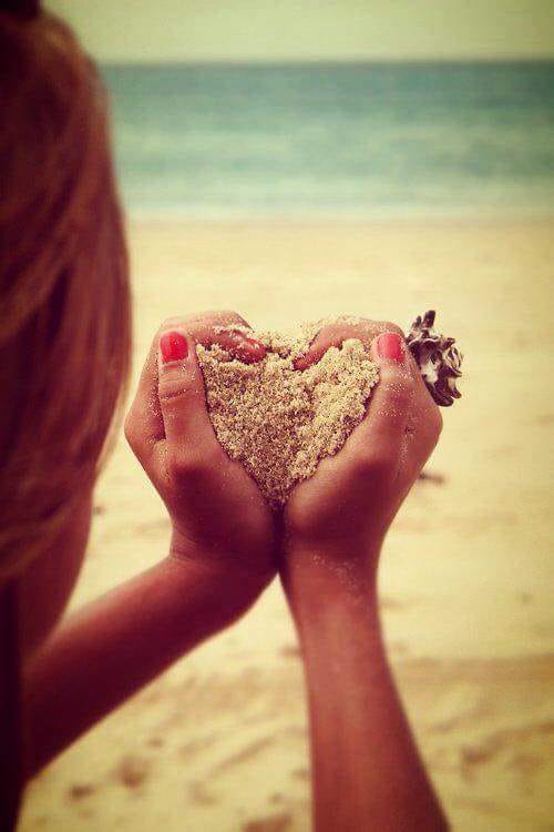 whatsapp image 2026 02 15 at 15.41.41 whatsapp image 2026 02 15 at 15.41.41